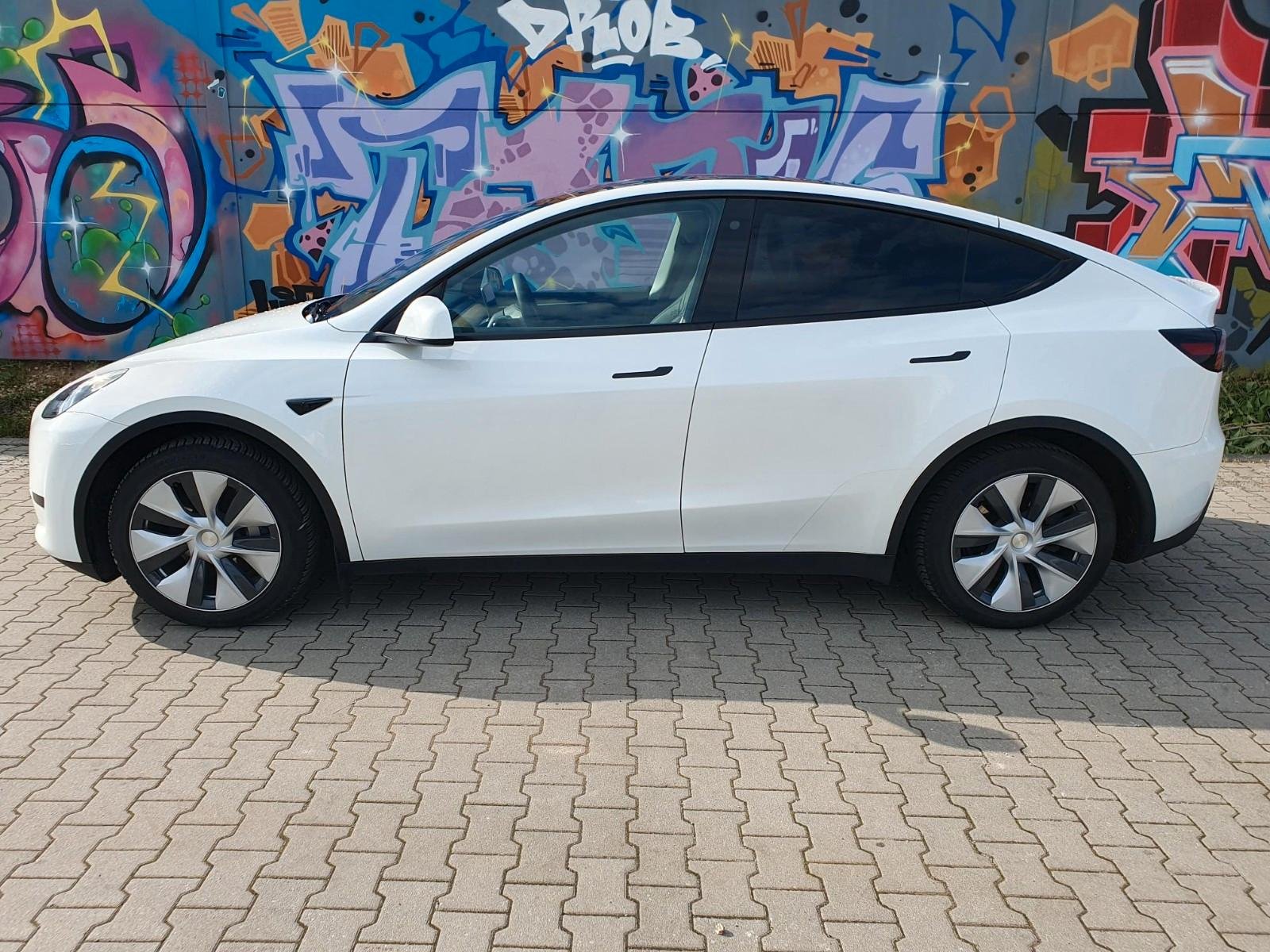 Tesla Model Y Standard BYD AUT 2023 foto 3
