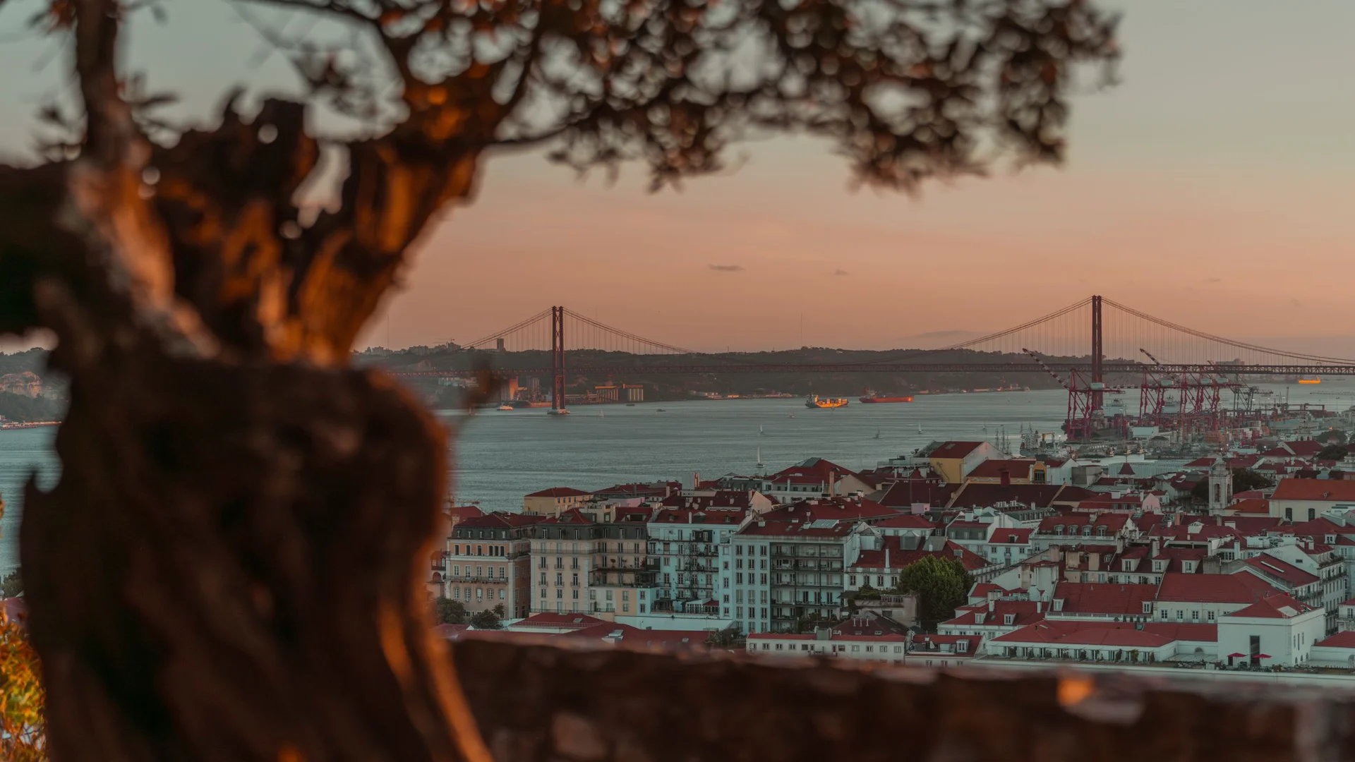 EcoImport serviço de importação para emigrantes regressados a Portugal — Lisboa ao pôr-do-sol
